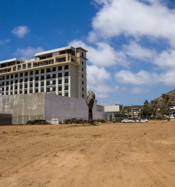 MicrosoftTeams-image (1)